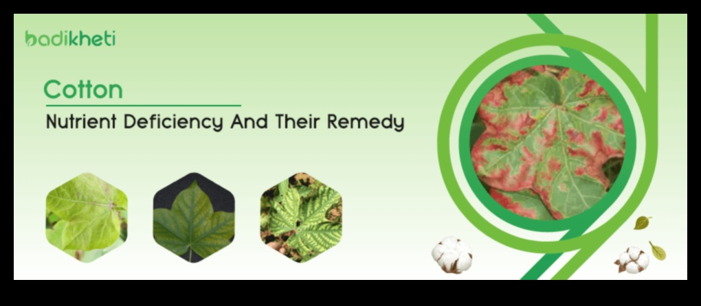 Uzturvielu samazināšanās: pazīmes, avoti un risinājumi