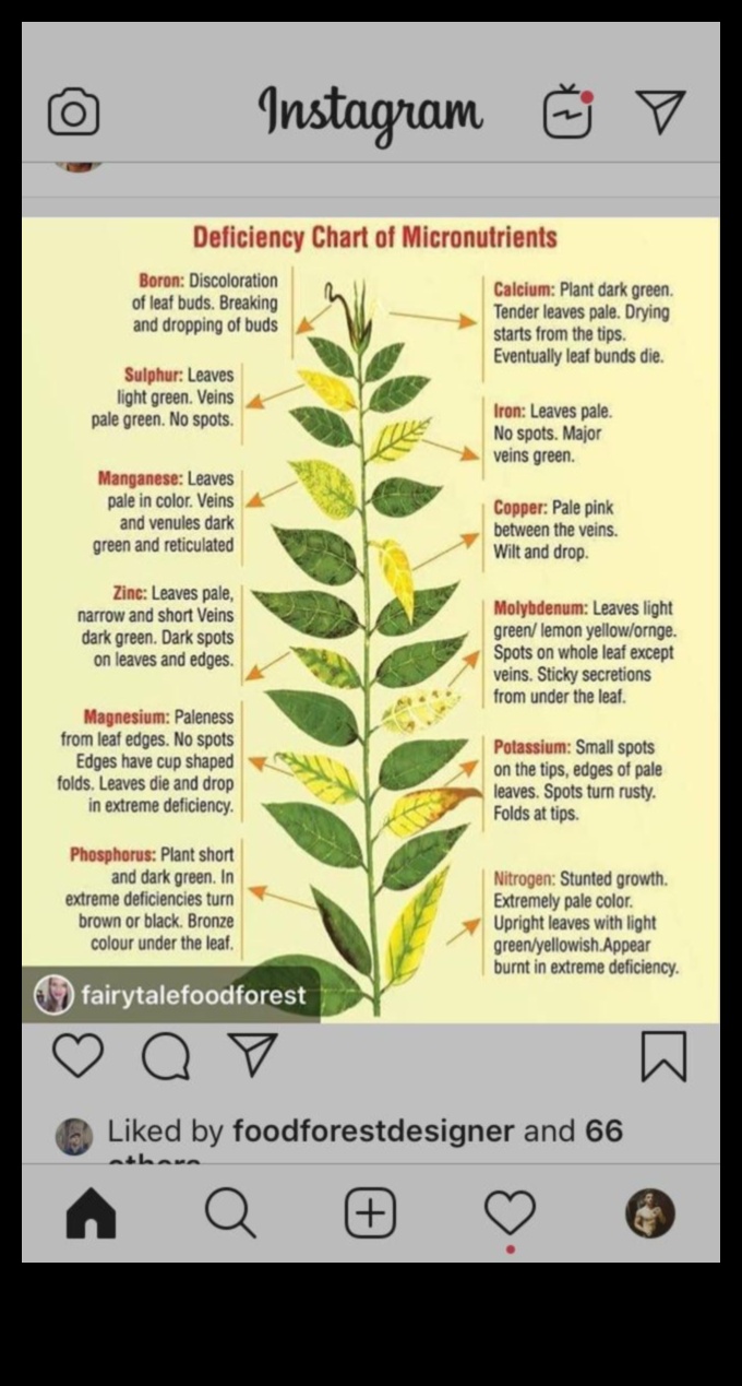 Uzturvielu samazināšanās: pazīmes, avoti un risinājumi