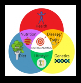 Precīzs uzturs: Nutrigenomikas spēks atklāts