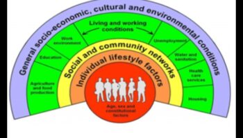 Pilnvarojoša dzīve: sabiedrības veselības uzturs ilgtspējīgām kopienām