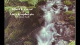 Minerālu brīnumi: ceļojums uz būtisku elementu brīnumiem