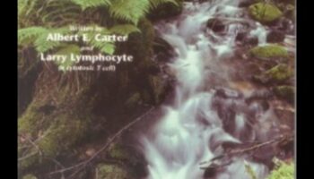 Minerālu brīnumi: ceļojums uz būtisku elementu brīnumiem