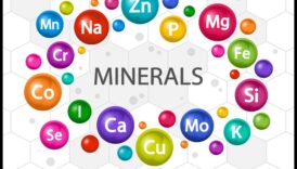 Minerālu simfonija Veselam ķermenim svarīgu elementu simfonija 5 Minerālu simfonija: Veselības organizēšana, izmantojot būtiskos elementus