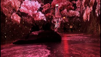 Radošuma atklāšana: visprogresīvākā materiālu dizaina māksla