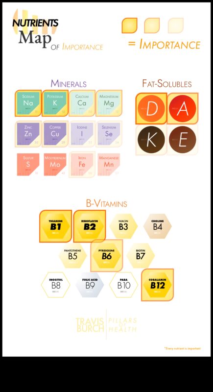 Uzturvielu karte: optimālas veselības kursa noteikšana