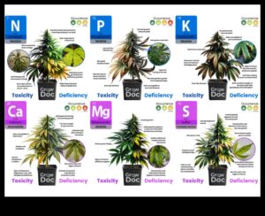 Uzturvielu samazināšanās: pazīmes, avoti un risinājumi