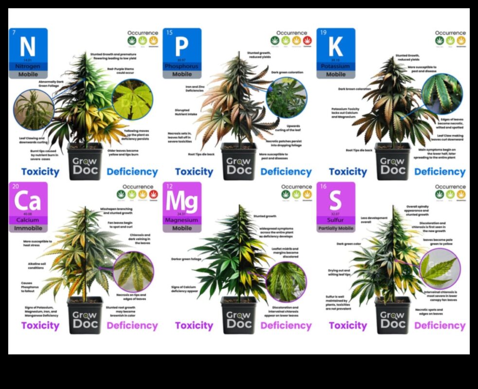 Uzturvielu samazināšanās: pazīmes, avoti un risinājumi